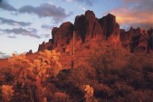images/albums/Superstition Wilderness/S03111601.jpg